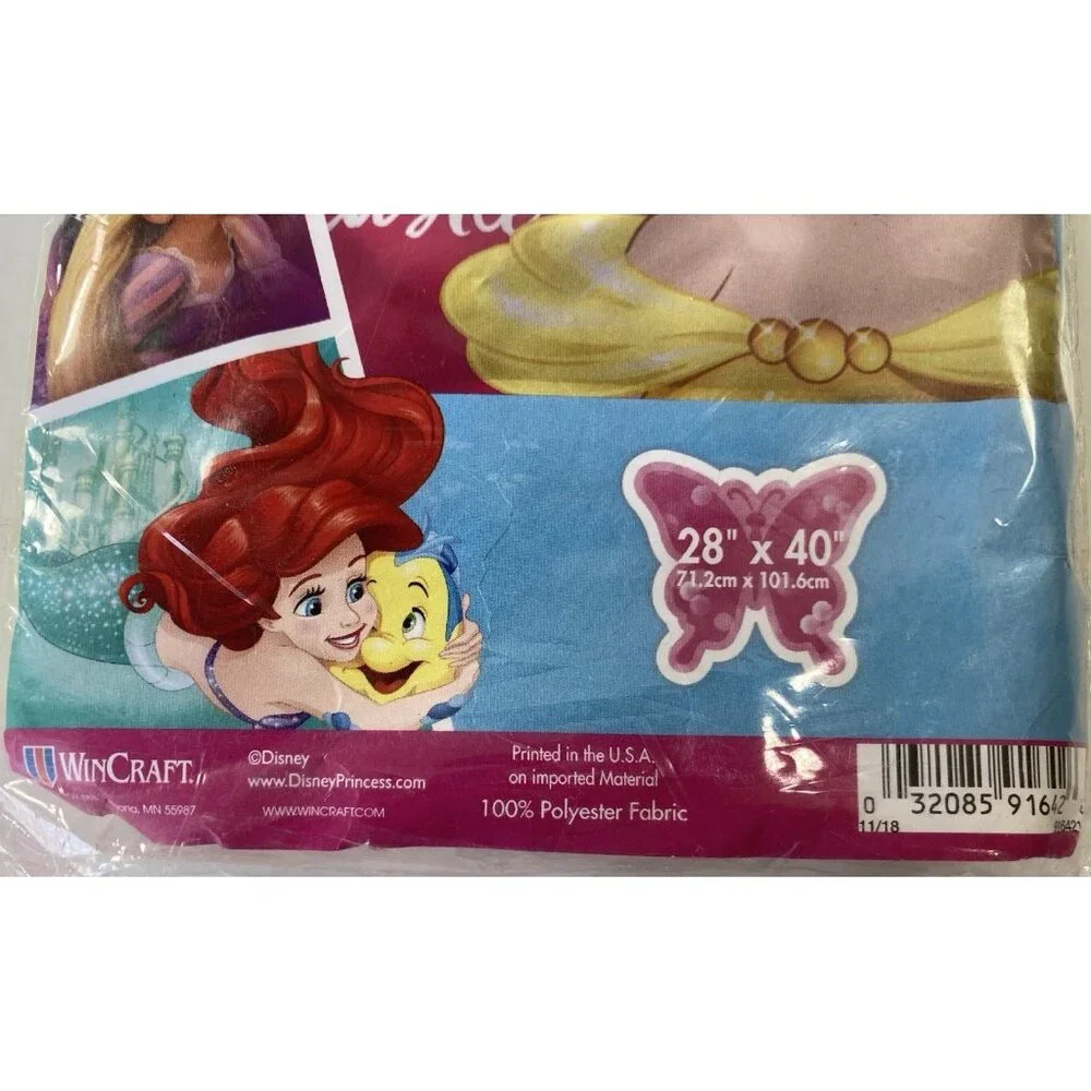 Disney Princess Belle Flag Party Banner Beauty and Beast Indoor Outdoor 28